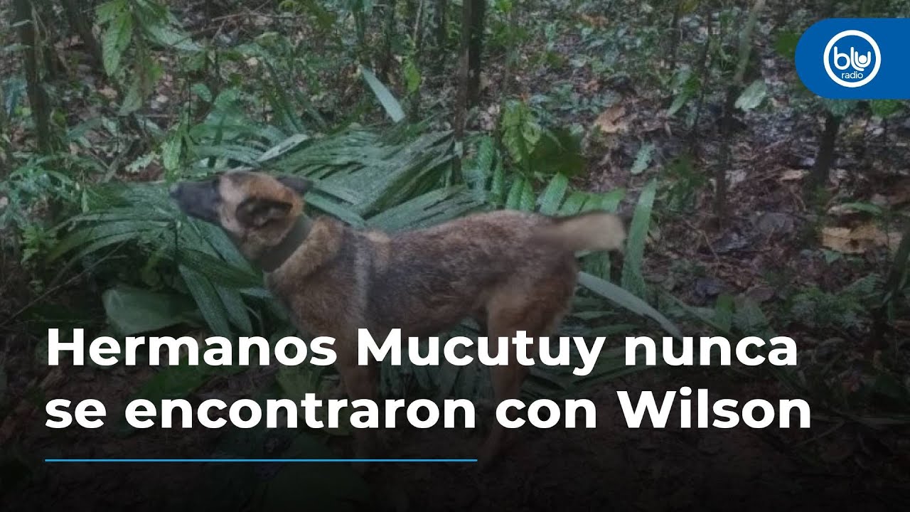 Hermanos Mucutuy nunca se encontraron con el perro Wilson: lo que realmente pasó