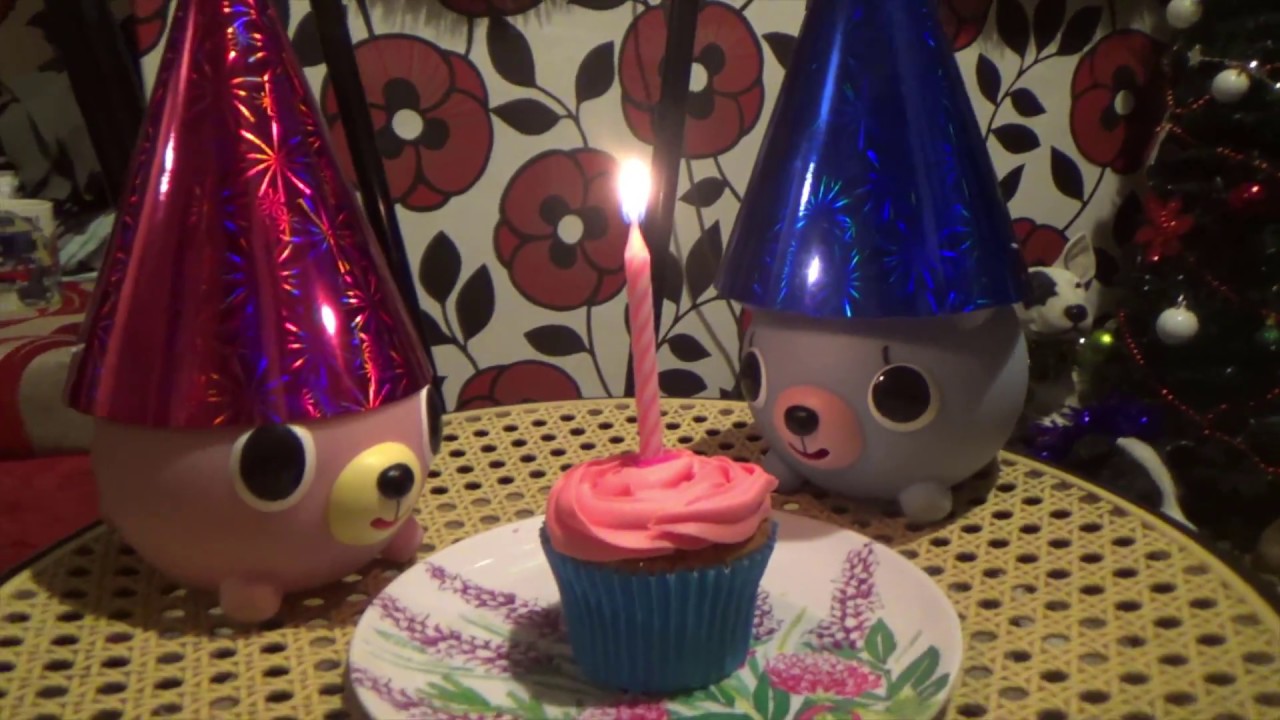 Oshaberi Doubutsu has a birthday for the first time