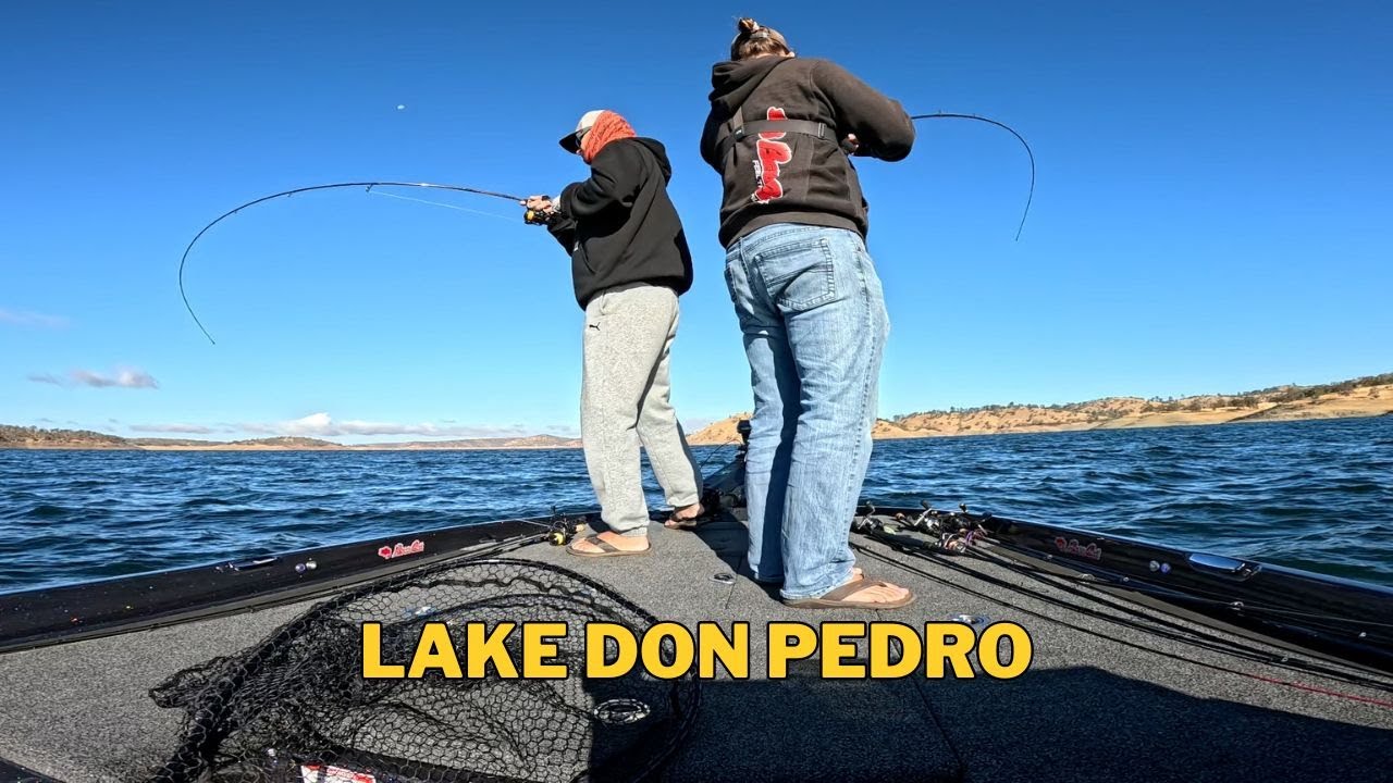 Осенний турнир на озере Дон Педро — заработали ли мы деньги?