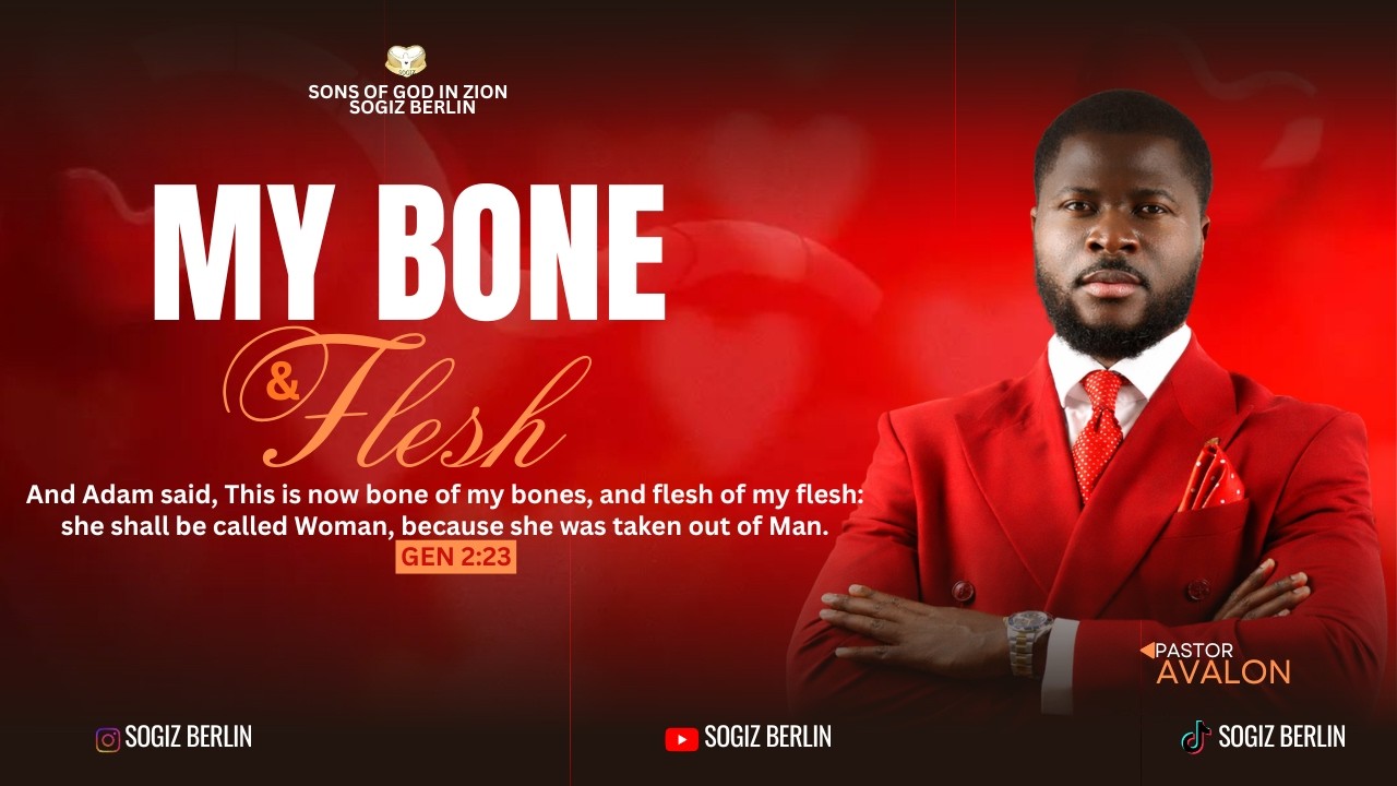 MY BONE AND FLESH || 15.02.2026