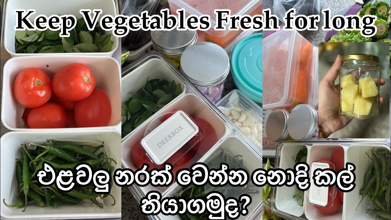එළවළු කල් තියා ගමුද? ( How to keep vegetables fresh )