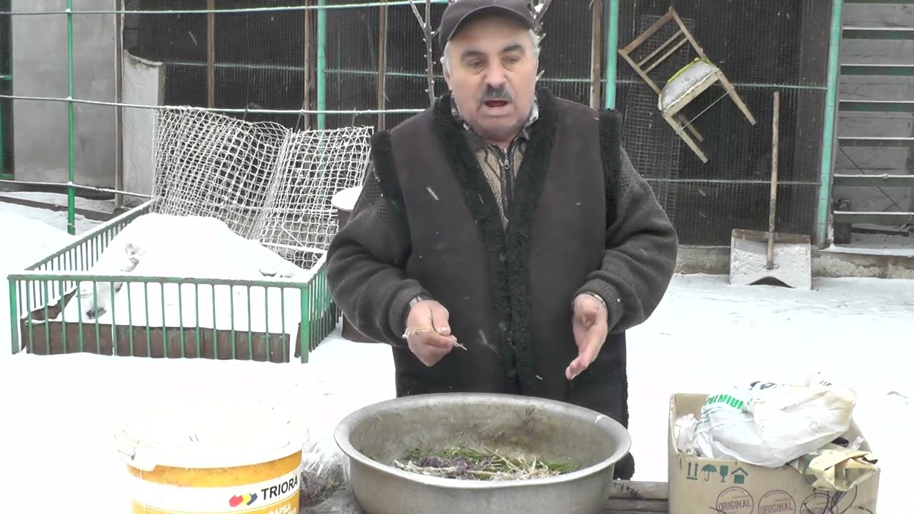Внимание ! Смотрим какими травами пропаиваю свою птицу ?