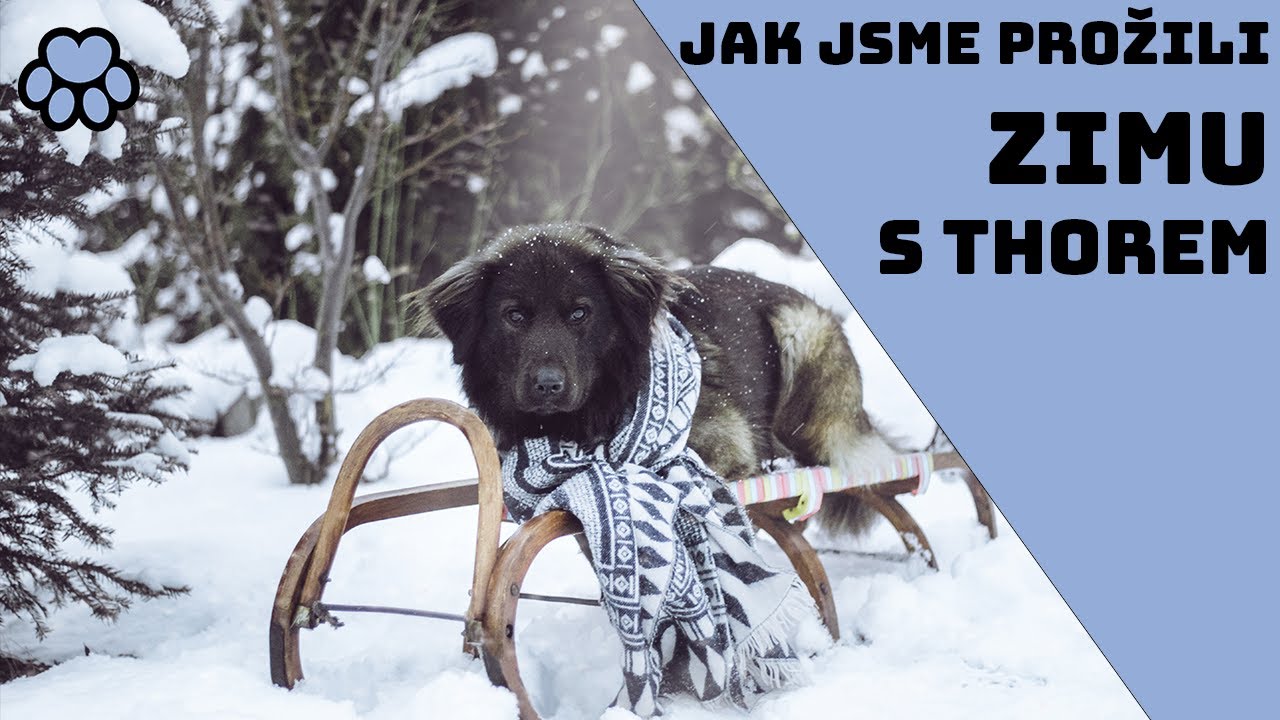 Winter 2020/21 with Thor