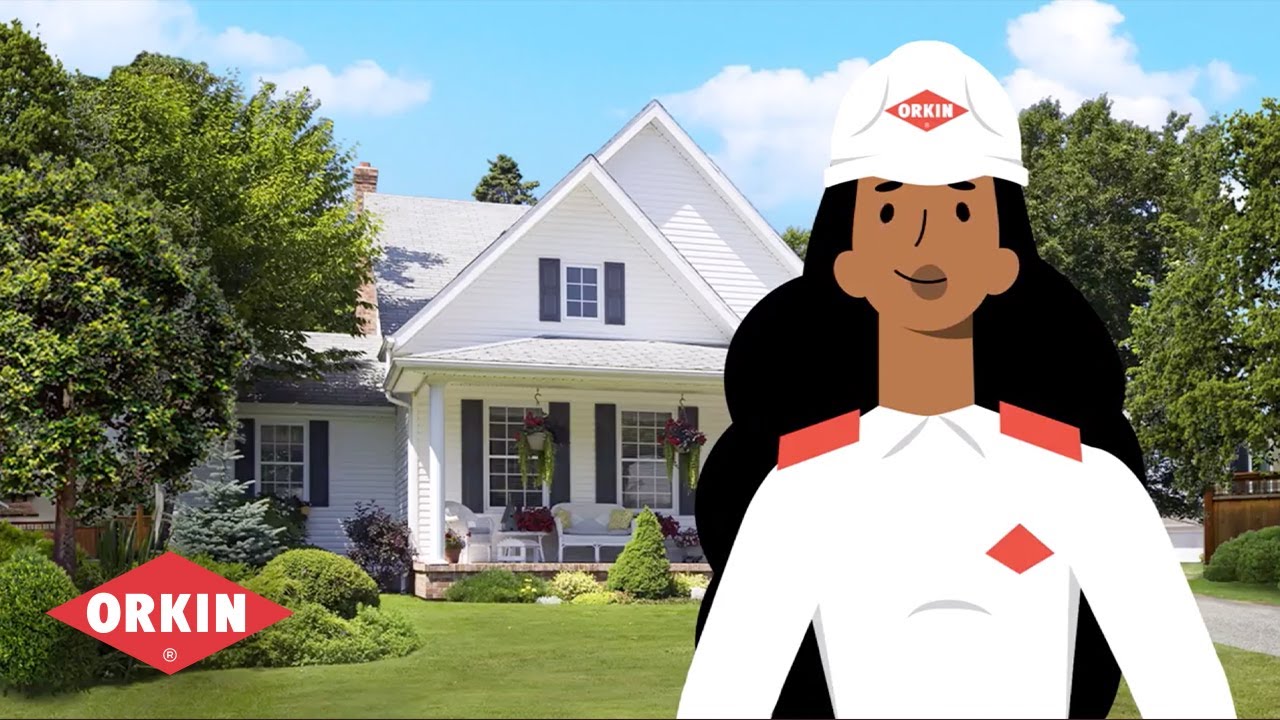 Mosquito Control: How Orkin Helps Protect Your Backyard