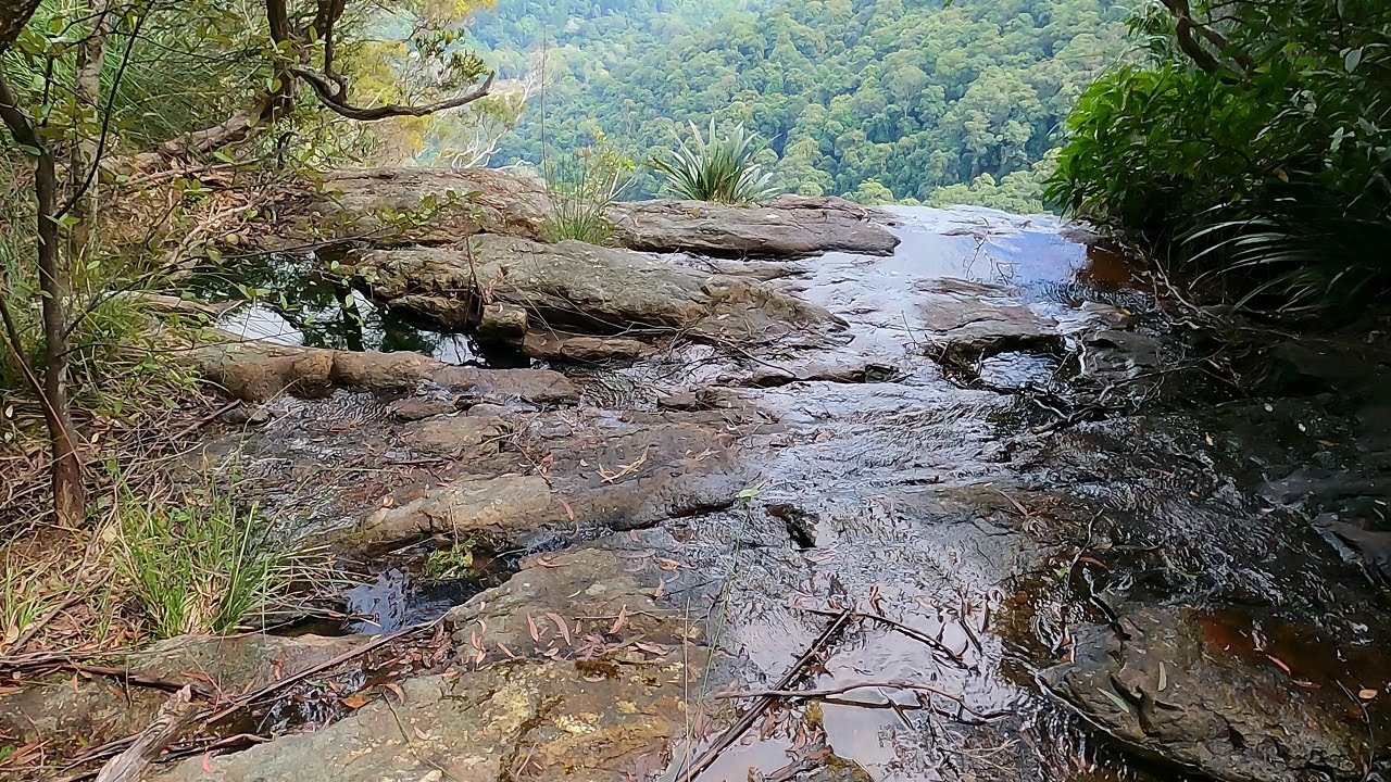 Springbrook Western Cliffs