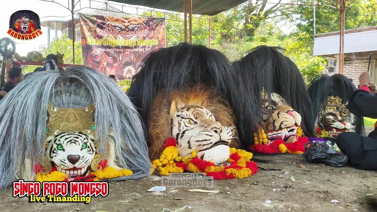 Rampak Barongan Galak Ngamuk | Barongan Singo RogoWongso live Tinanding | BarongBoys