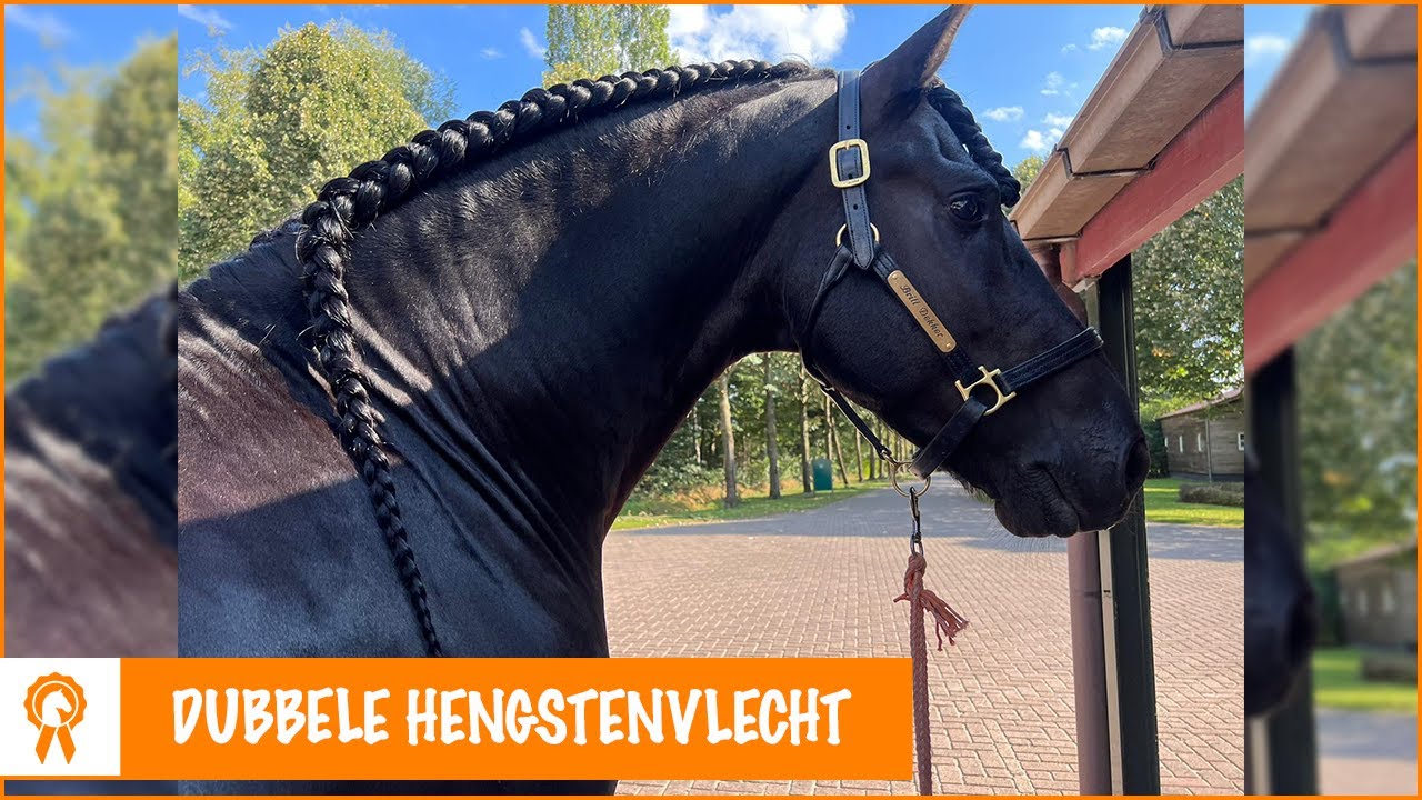De verzorging van Johnny's superlange manen | PaardenpraatTV