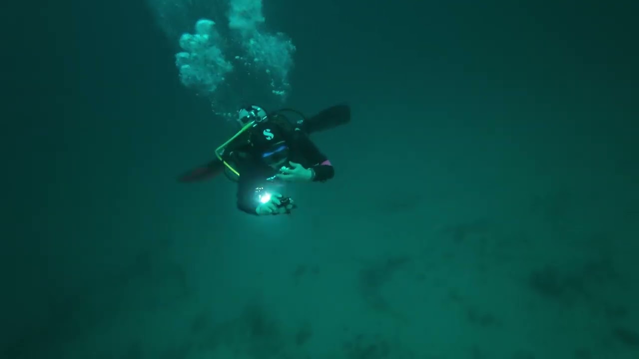 MONKEY DEEP~MONKEY BEACH