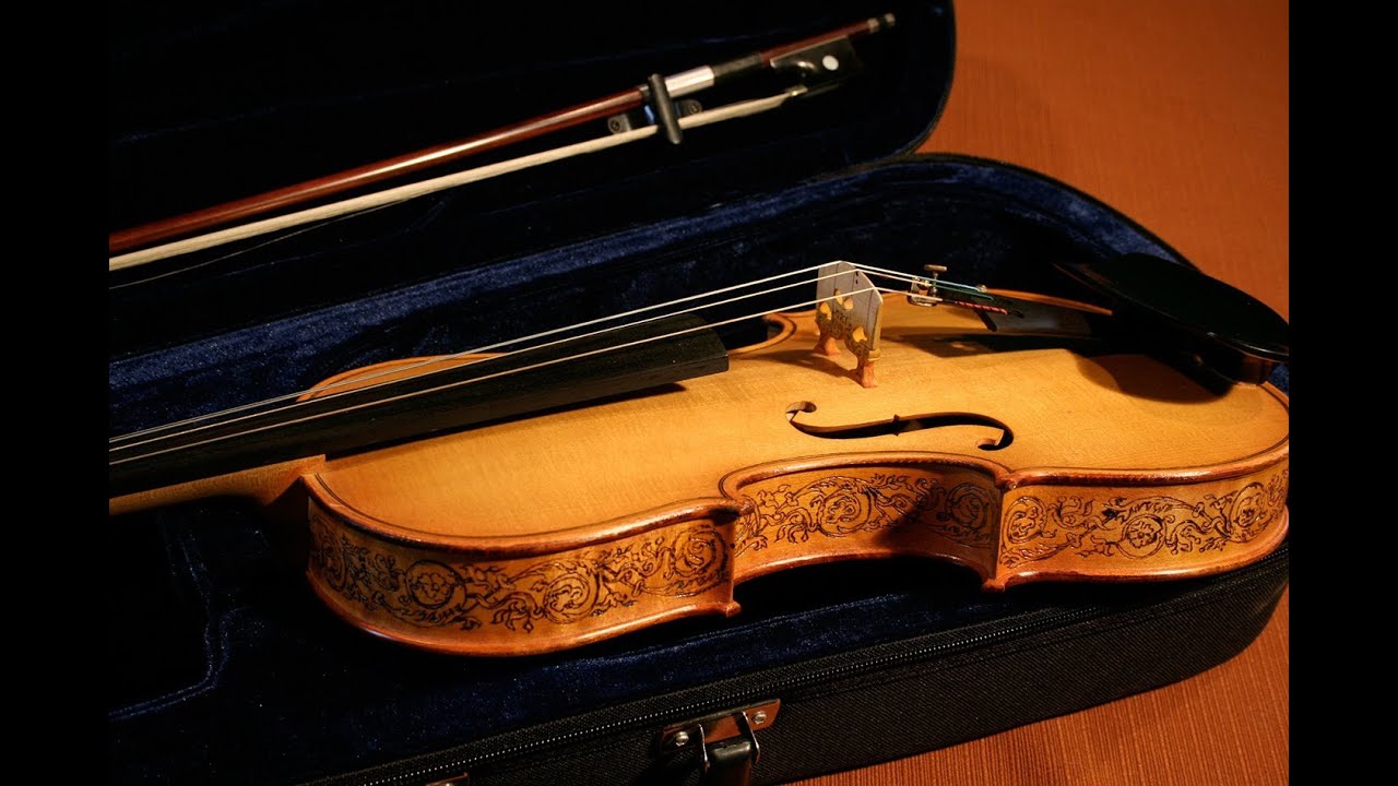 J'ai reçu mon violon !