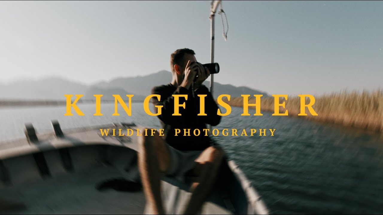Wildlife Shoot in Turkey | Fujifillm XT4
