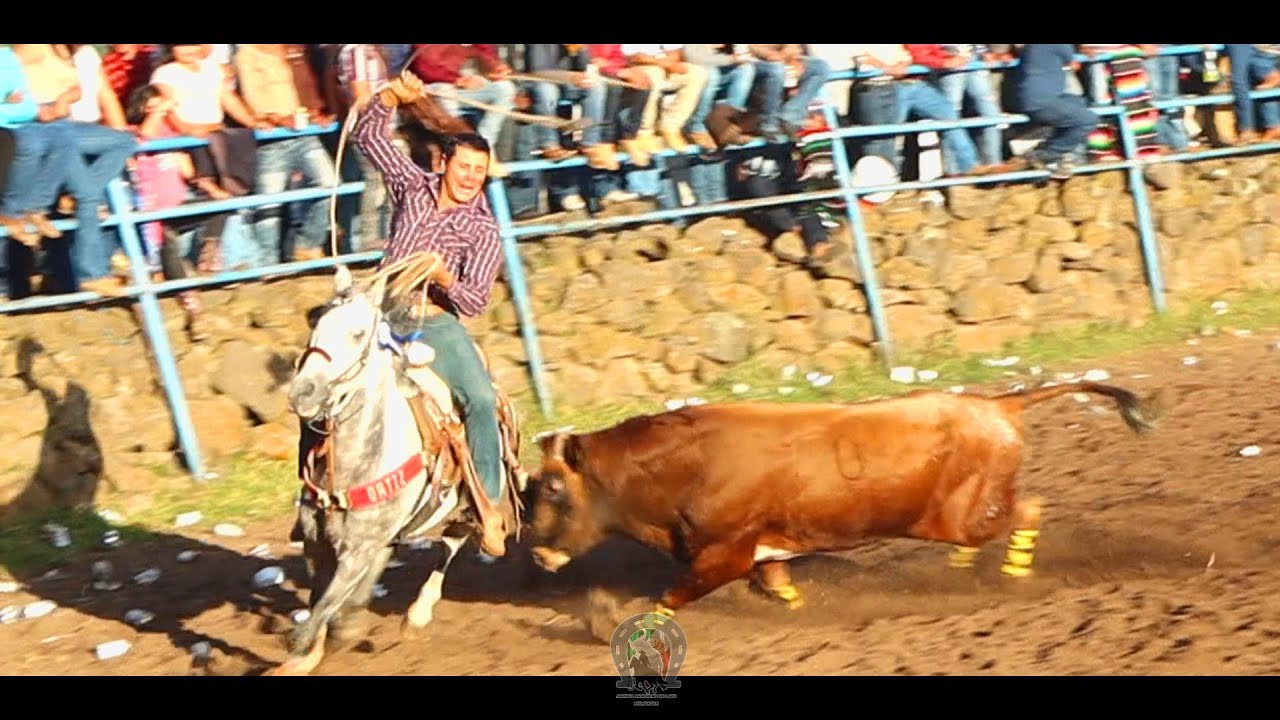 Jaripeo Chago Diaz y Tabarin Hernández en San Rafael Villa Morelos Michoacán