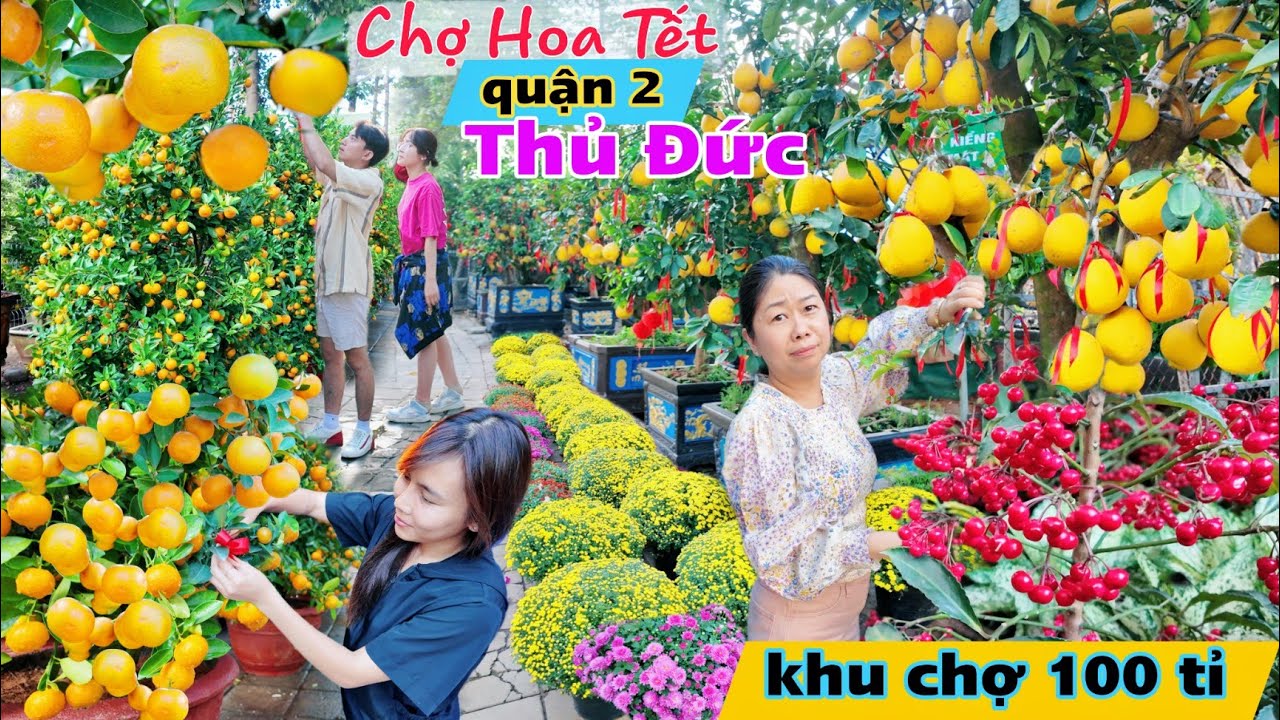 Chợ hoa tết quận 2 Thủ Đức 2024 mê mẩn dàn kiểng trĩu quả 100 tỉ