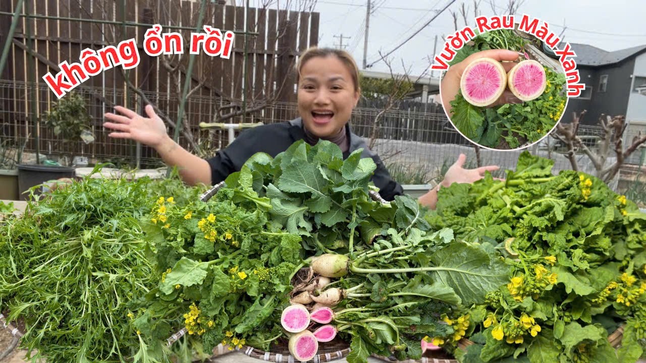 Vườn rau rực rỡ , Q đã nghĩ mọi thứ hoàn hảo cho đến khi…😂🤣
