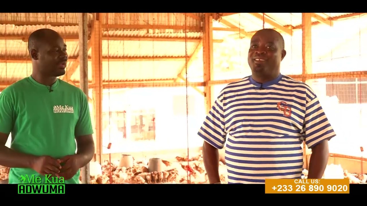 MEET 2025 ASHANTI REGIONAL BEST POULTRY FARMER WITH HIS 80,000 BIRD FACILITY