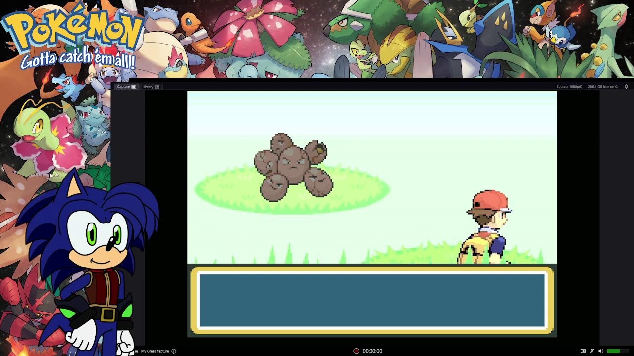 Runnic Pokemon Fire Red part 006