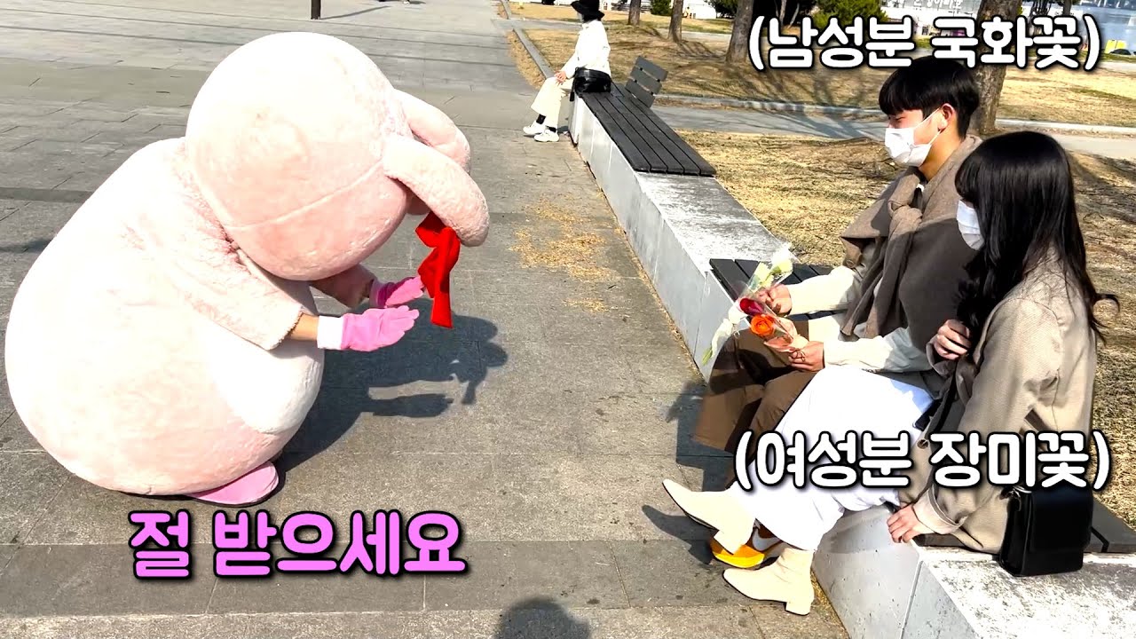 인형탈몰카) 국화꽃 선물하고 절하기ㅋㅋㅋㅋㅋ