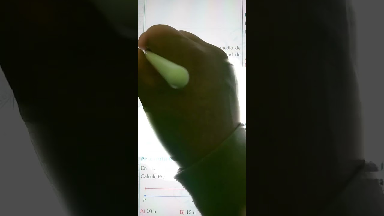 01.  SEGMENTOS