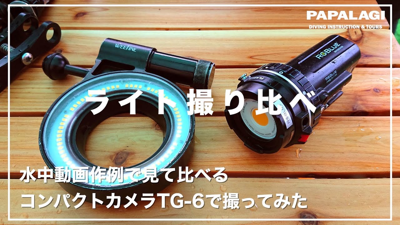 【ダイビング】水中動画で撮り比べ。RGBLUEとリングライト。SUPER NATURAL COLORは自然だった！