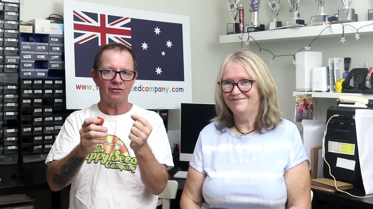 Inca Drop Red  Chilli Test