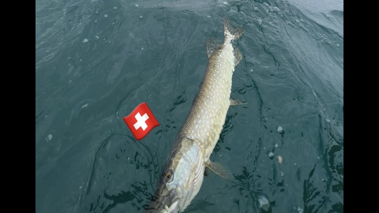 PV#1 Pesca Suiça Lac Leman