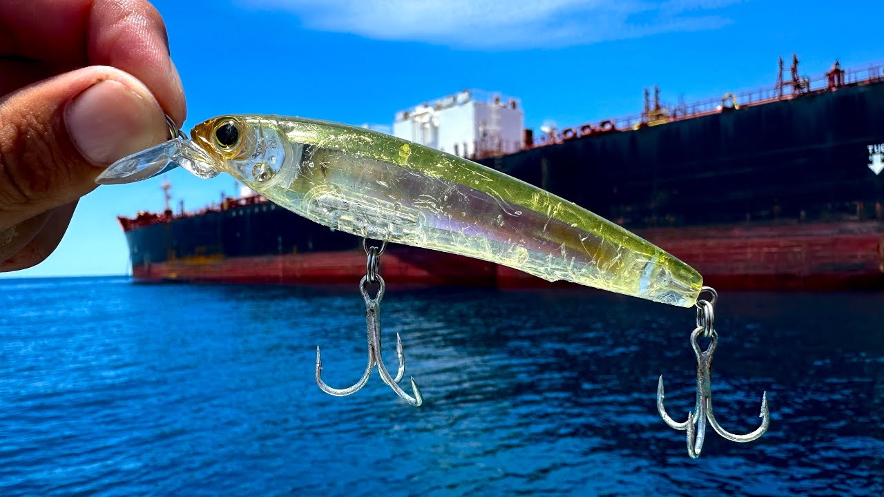 PESCA de PARGOS y SIERRAS con SEÑUELO MINNOW || JERKBAIT || MEDIA AGUA.