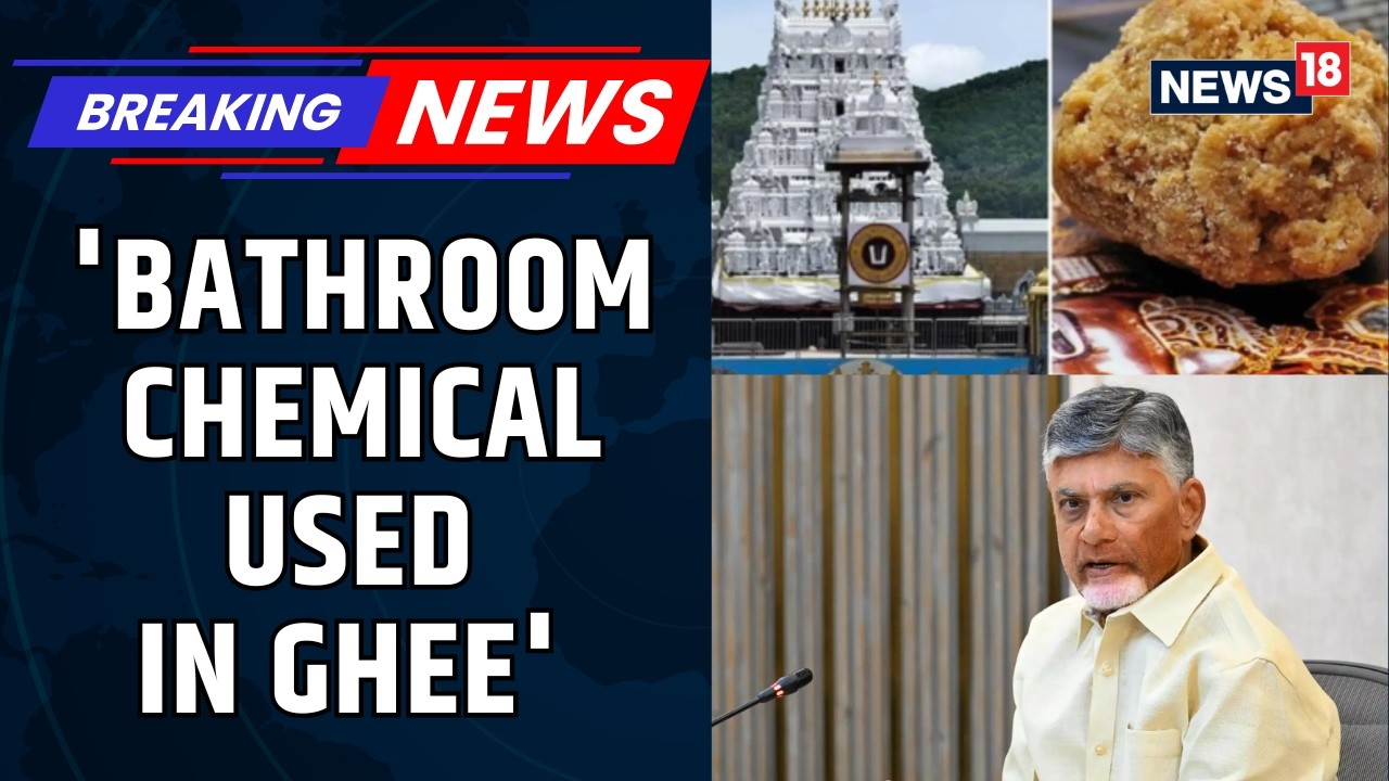 Tirupati Laddu Row: CM Chandrababu Naidu's SHOCKING Claims On YSRCP & Laddu Scam | News18