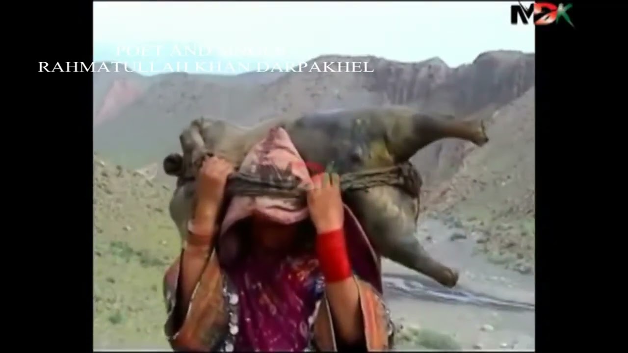 7 KADY YE PO ZEIER MAZDIGHER