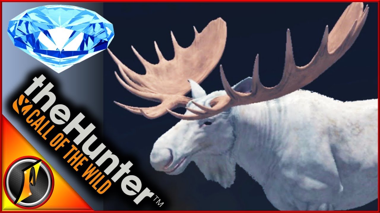 Albino DIAMOND Moose? | theHunter Call of the Wild