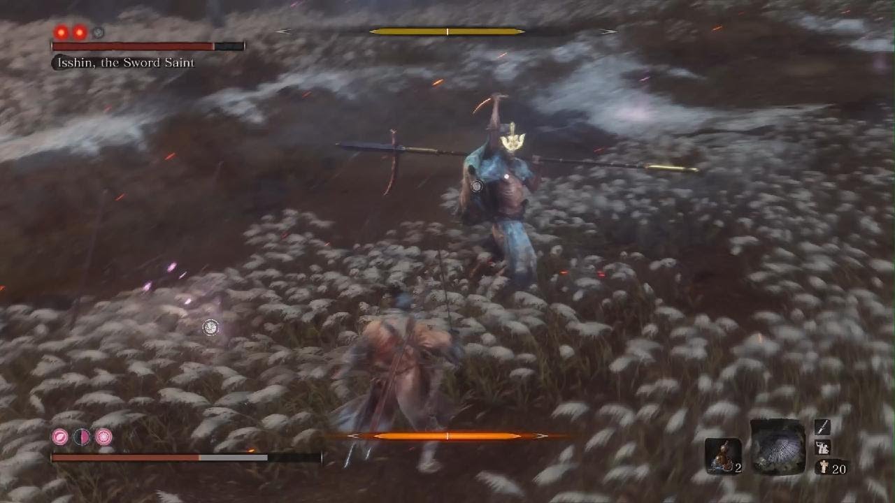 Sword Saint Isshin