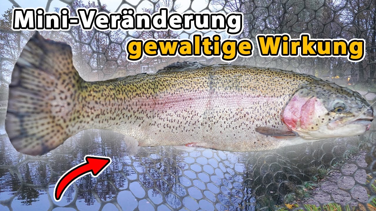 Unglaublich: MAXIMAL erfolgreiches (XXL) Forellenangeln im Winter!