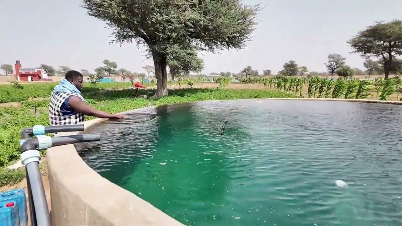 Ameth THIOLA à Visité les Champ de Malick C MILKA
