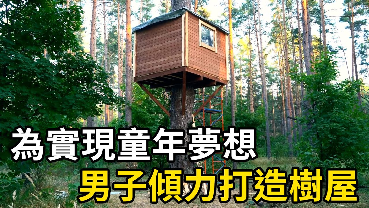 為實現童年夢想，男子精心搭建樹屋樂園！ | 三千世界 #紀錄片 #有趣  #creative