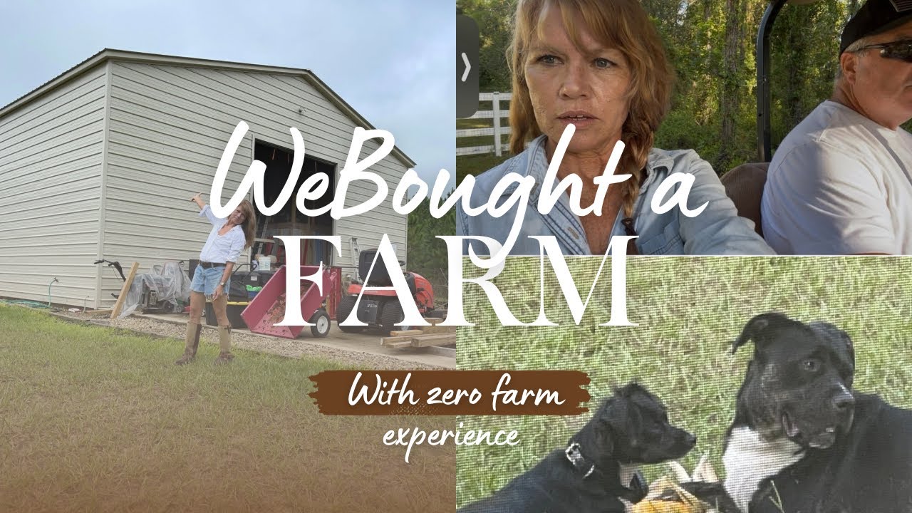 Moving to a farm in the country with no experience at all.