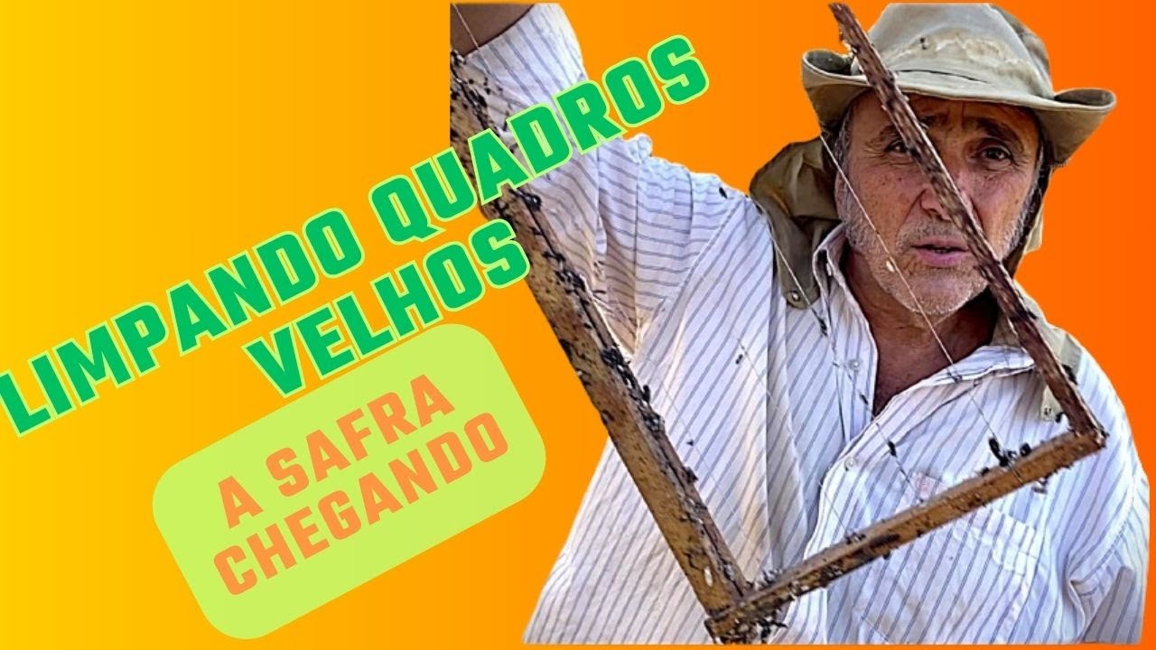 32. Limpando Quadros Velhos - Safra do MEL chegando