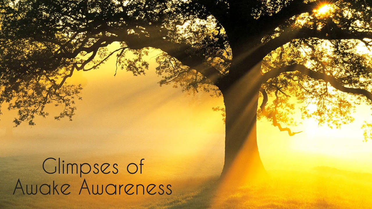 Glimpses of Awake Awareness by Loch Kelly