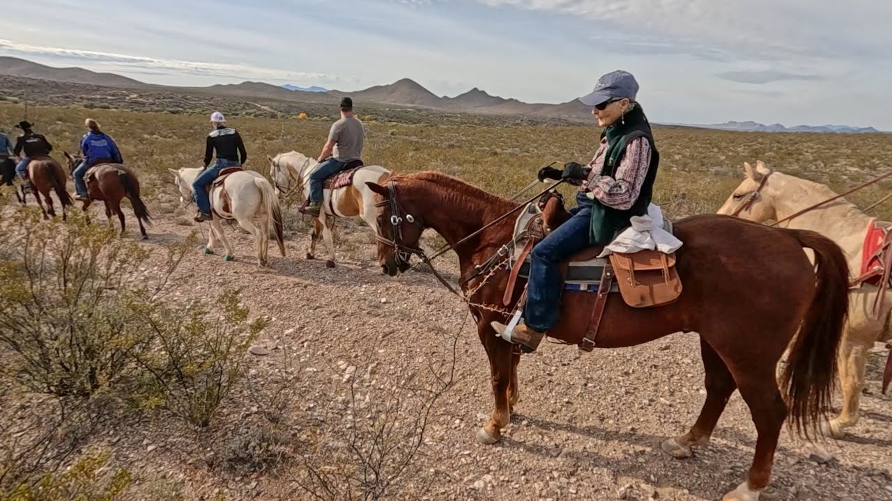 Full Video: Grandma rode wrong horse to Tombstone, Arizona! 👵 🐎