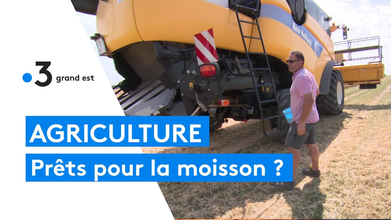 Moisson : les secrets d'un céréalier pour réussir la récolte