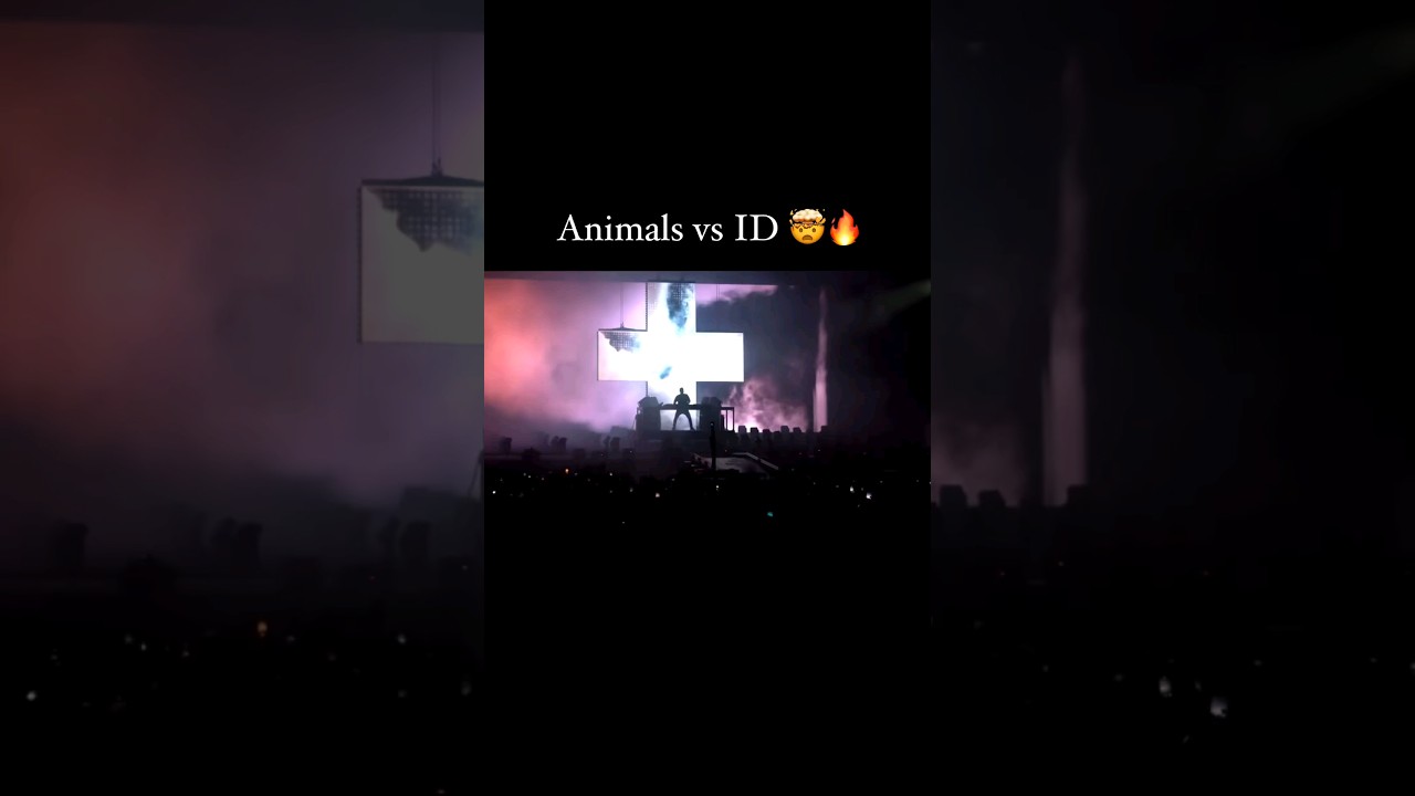 Martin Garrix playing "Animals vs New ID by Alesso" at Sziget Festival 