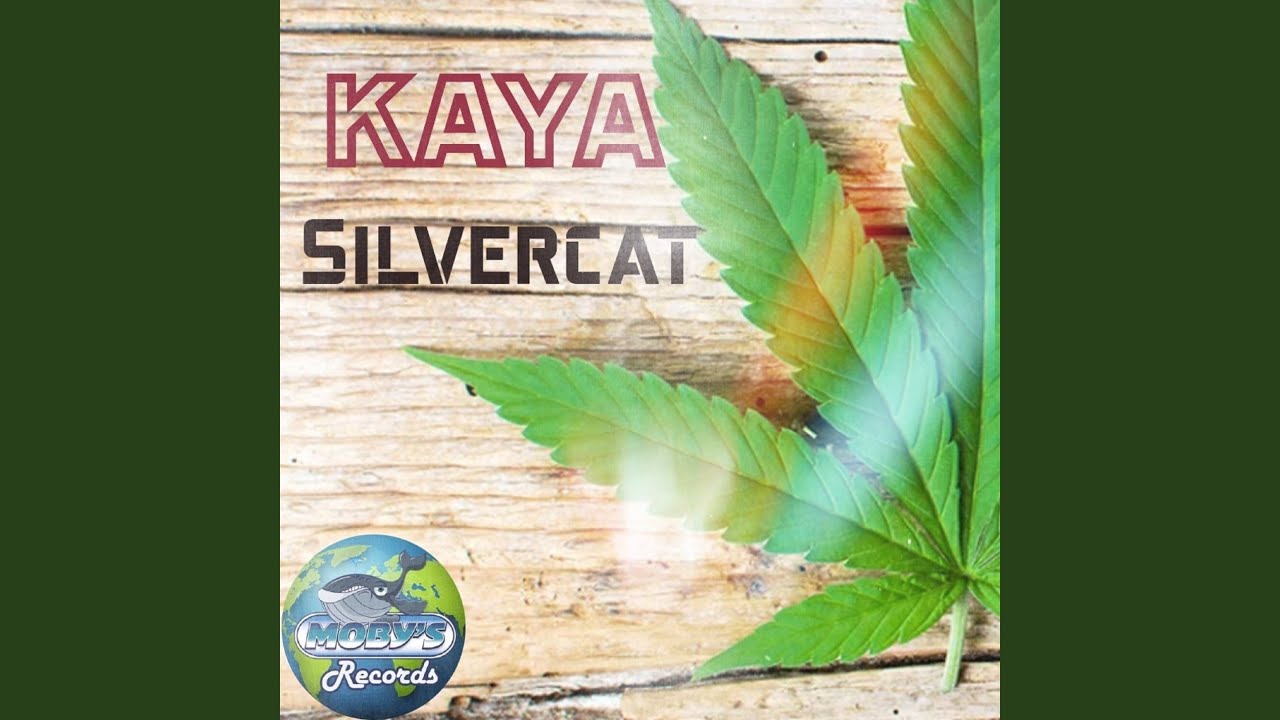 Kaya