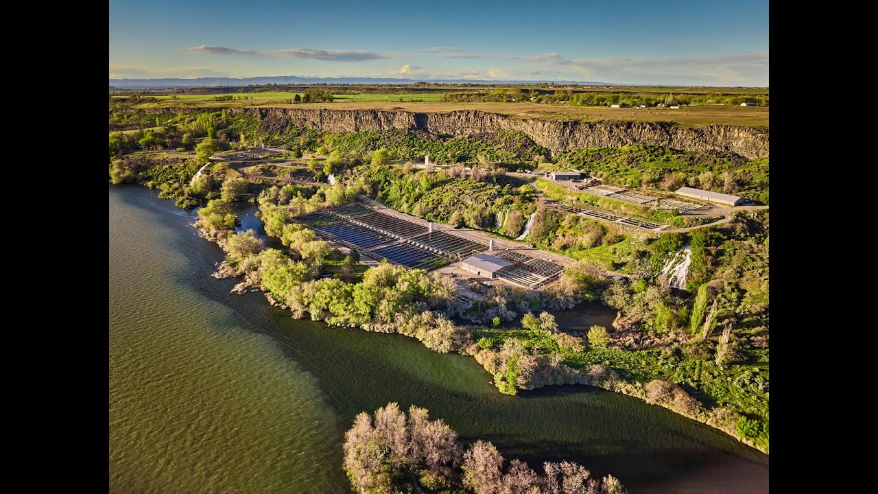 Riverence Story: Growing American-Raised Trout in Idaho’s Magic Valley