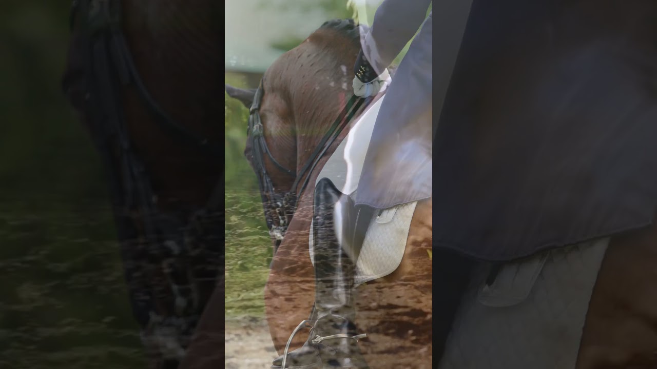 The Top 5 Horses Of Ireland 