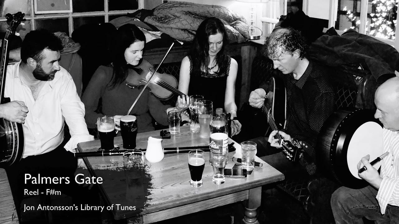 Palmer's Gate - Reel F#m | Learn Irish Music