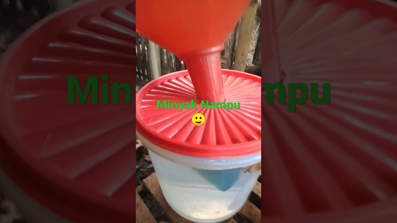penyulingan minyak Nampu #indonesiannaturaloil