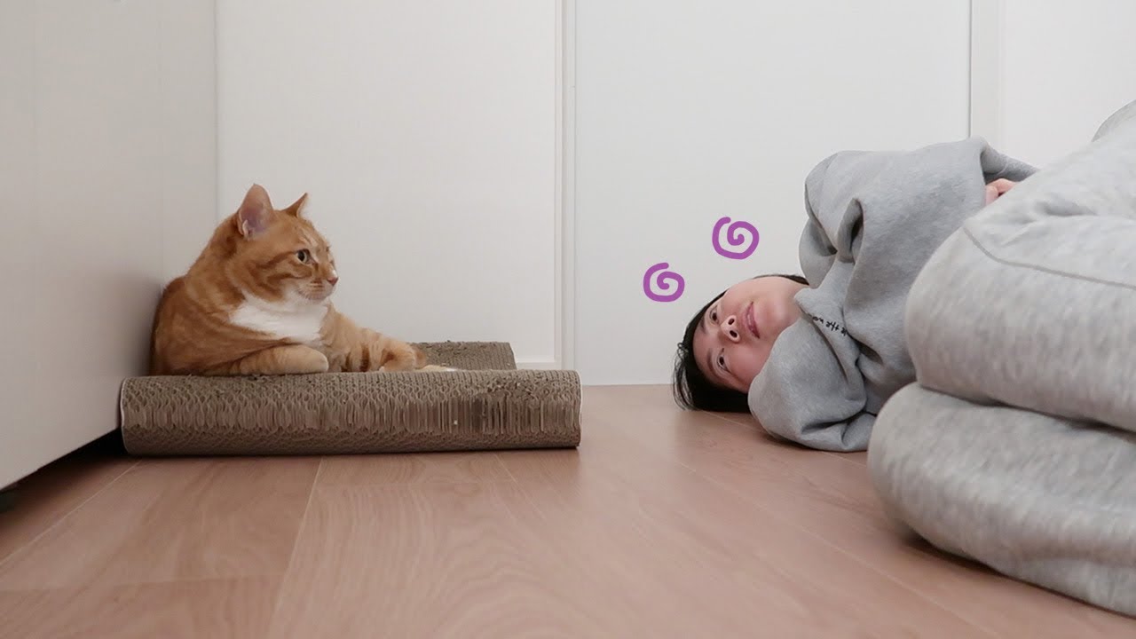 아픈 집사를 본 오들이 반응