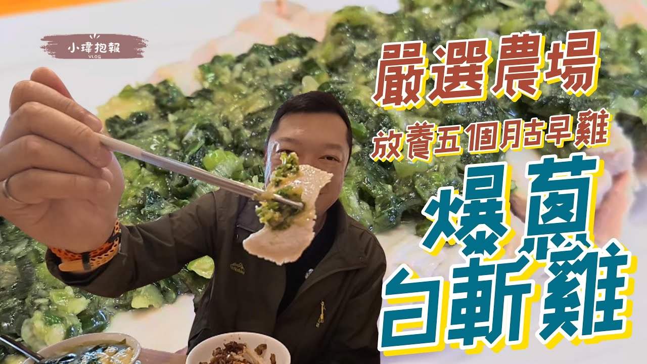 阿爸餵露水雞！文化中心美食推推，個人雞湯、雞滷飯、雞肉水餃都超好吃，他們只用養足五個月的土雞，根本是高雄小吃界的雞肉神店！#阿爸餵露水雞 #文化中心 #美食 #推薦 #雞湯 #雞滷飯 #雞肉水餃