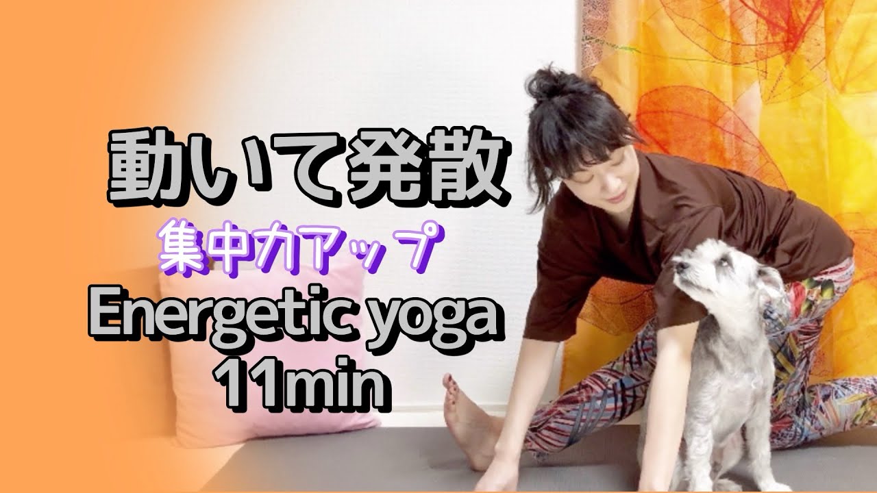 [Energetic yoga11分]たっぷり動きながら、最後まで集中する。