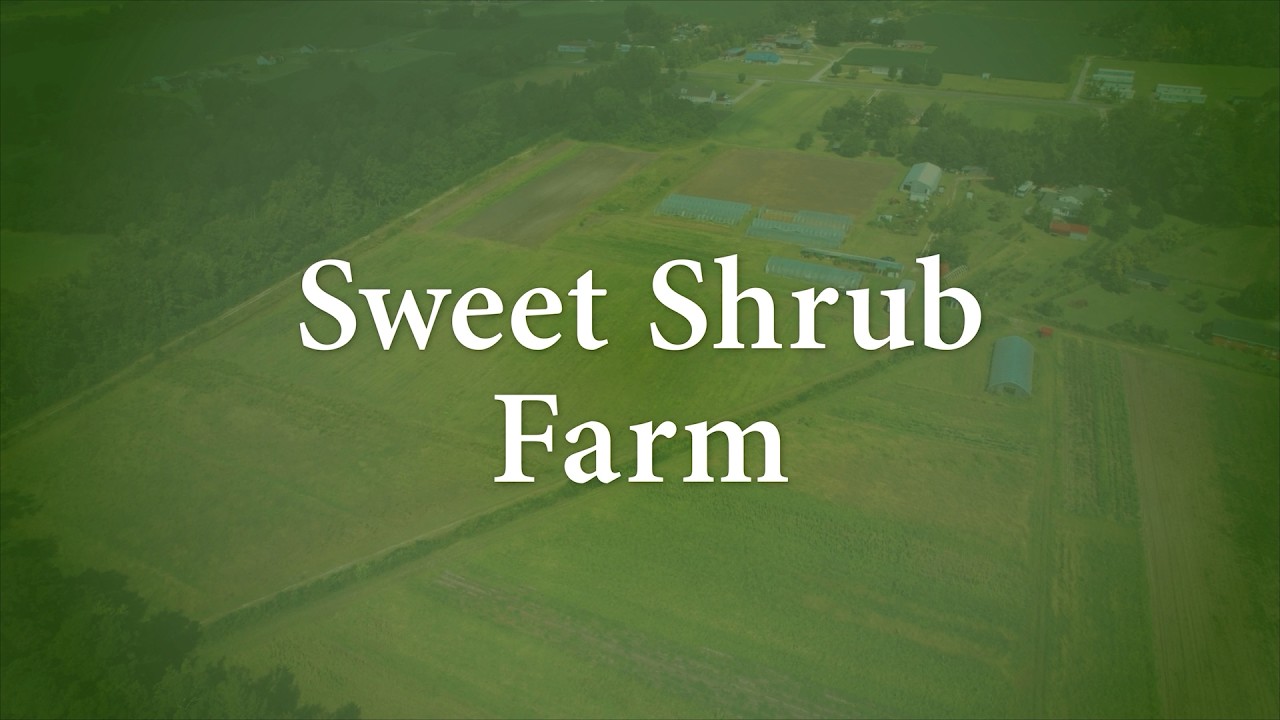 Farm Fresh Friday: Sweet Shrub Farm