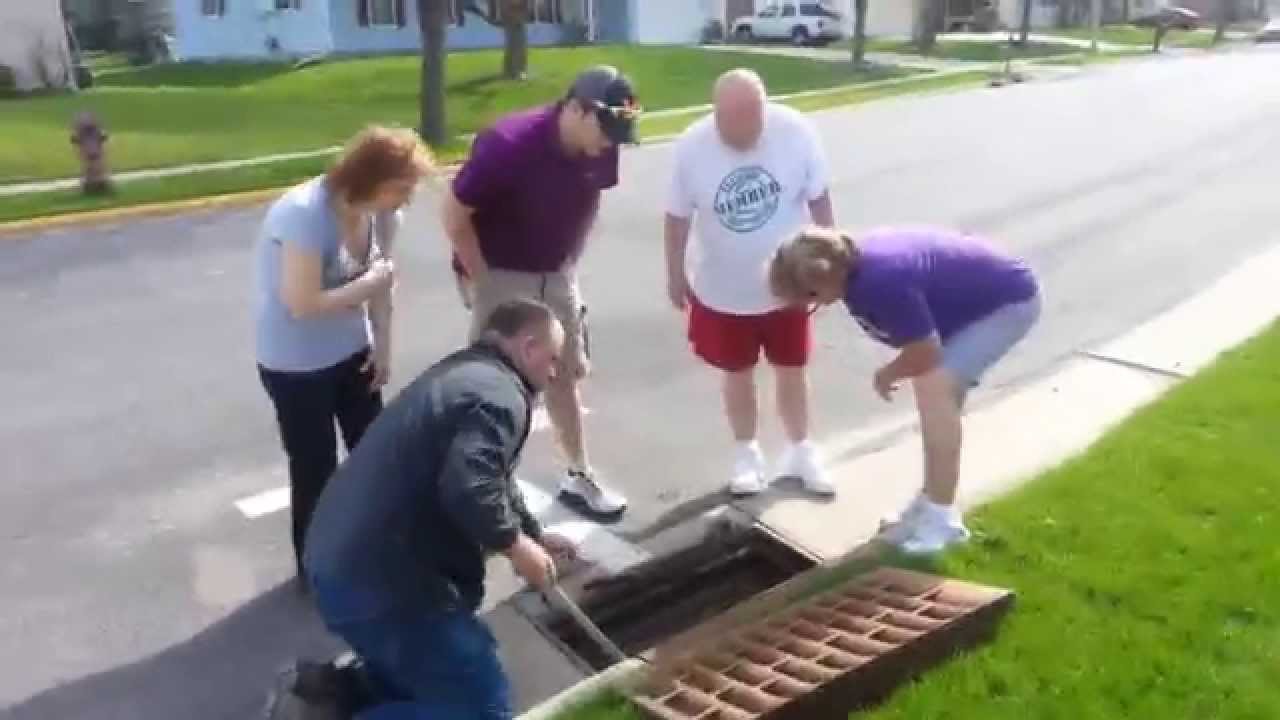 Mother's Day Duckling Rescue