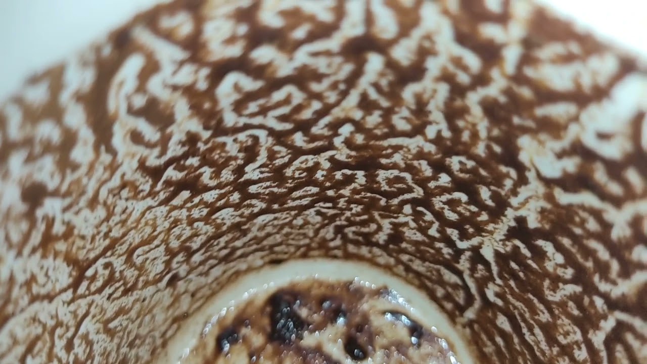 قراءه قويه