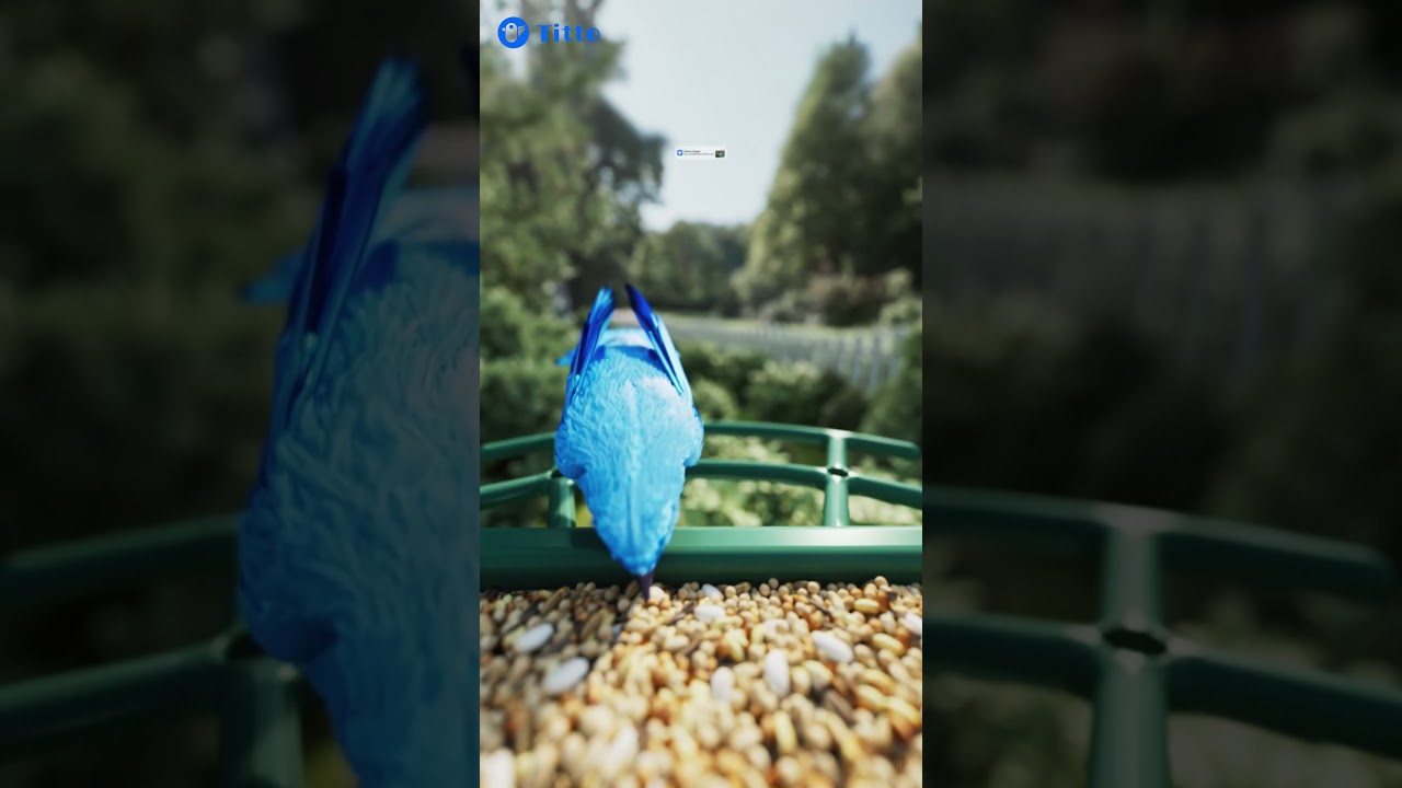 Titto Smart Bird Feeder with Camera, Solar Powered #Titto #SmartBirdFeeder #Birds #AI